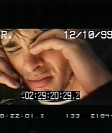 255.jpg