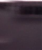 205.jpg
