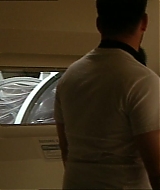 226.jpg