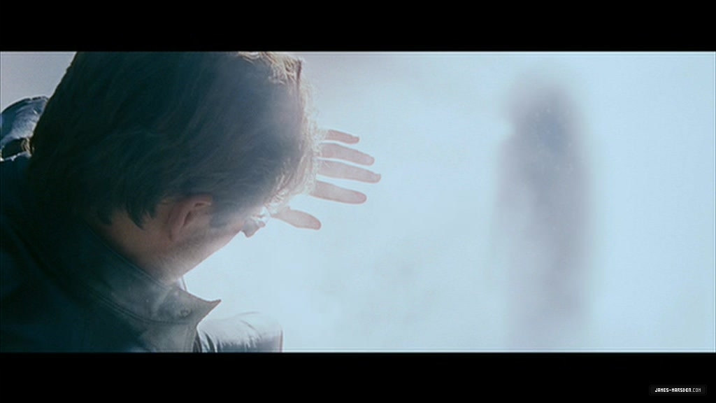 137.jpg