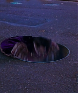 04839.jpg
