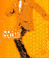 04855.gif