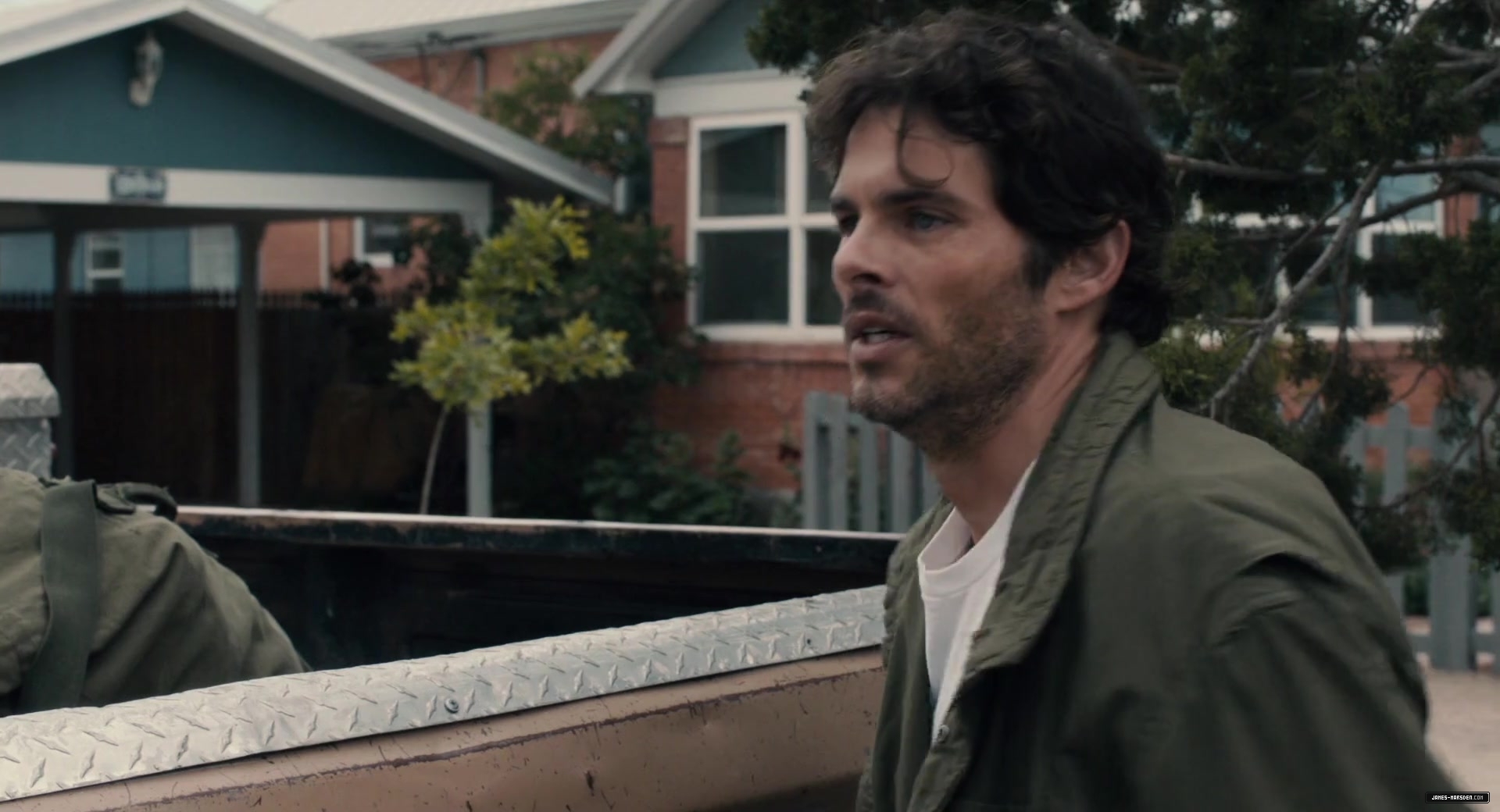 11408.jpg