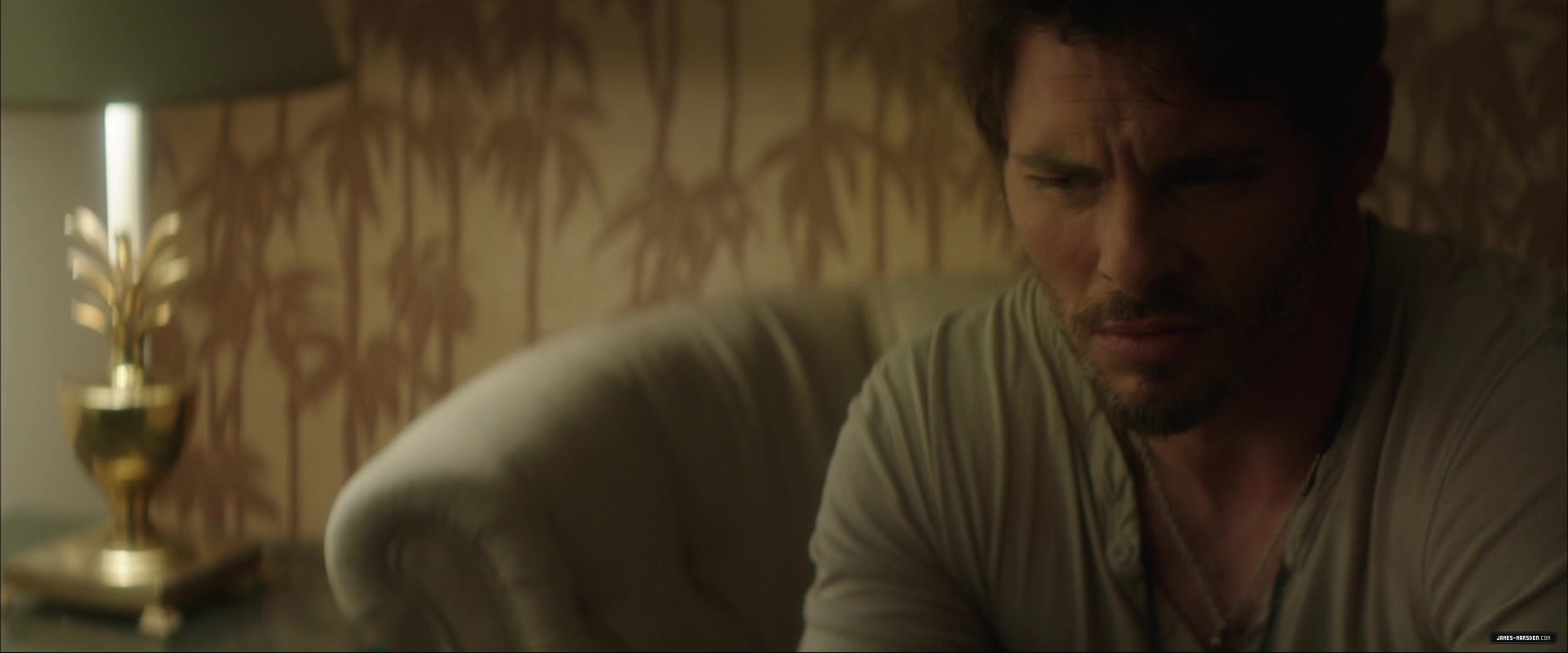 2503.jpg