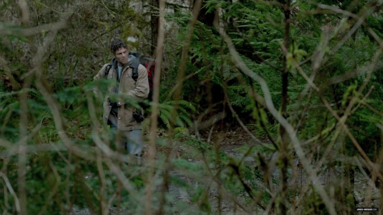 1791.jpg