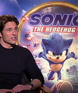 251.jpg