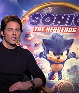 260.jpg