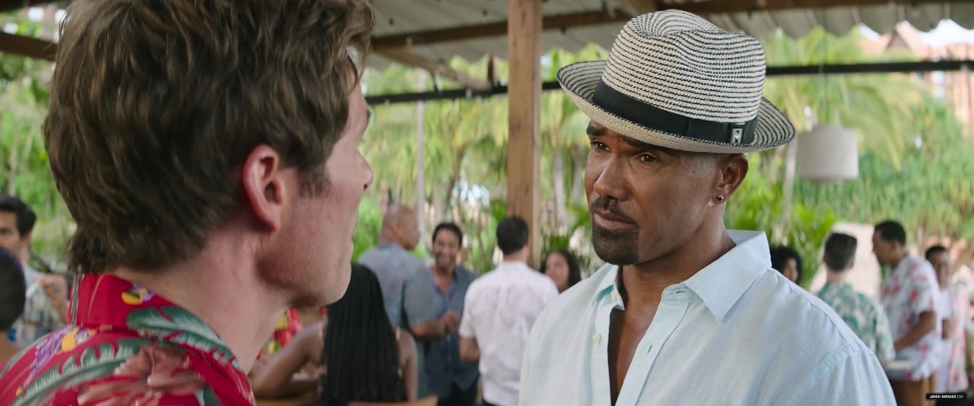 249.jpg
