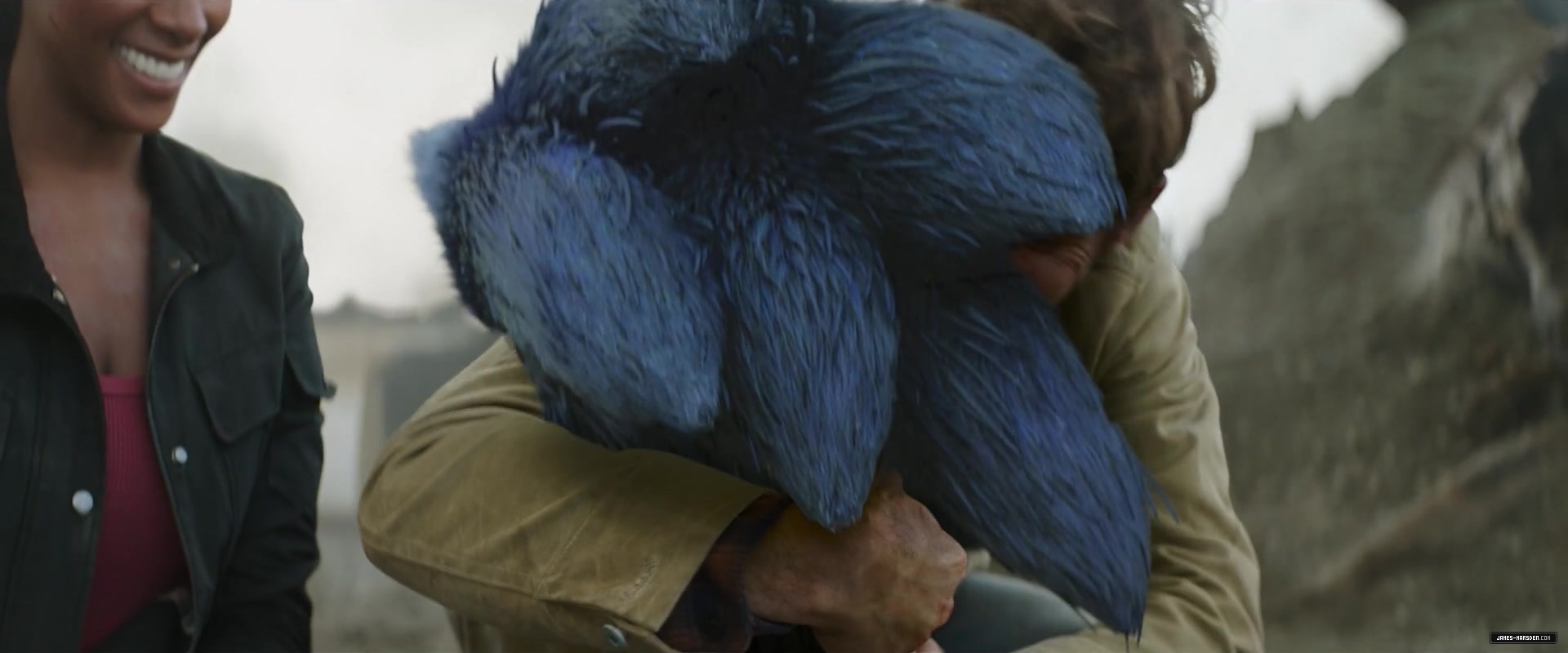 647.jpg