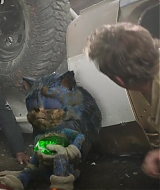 593.jpg