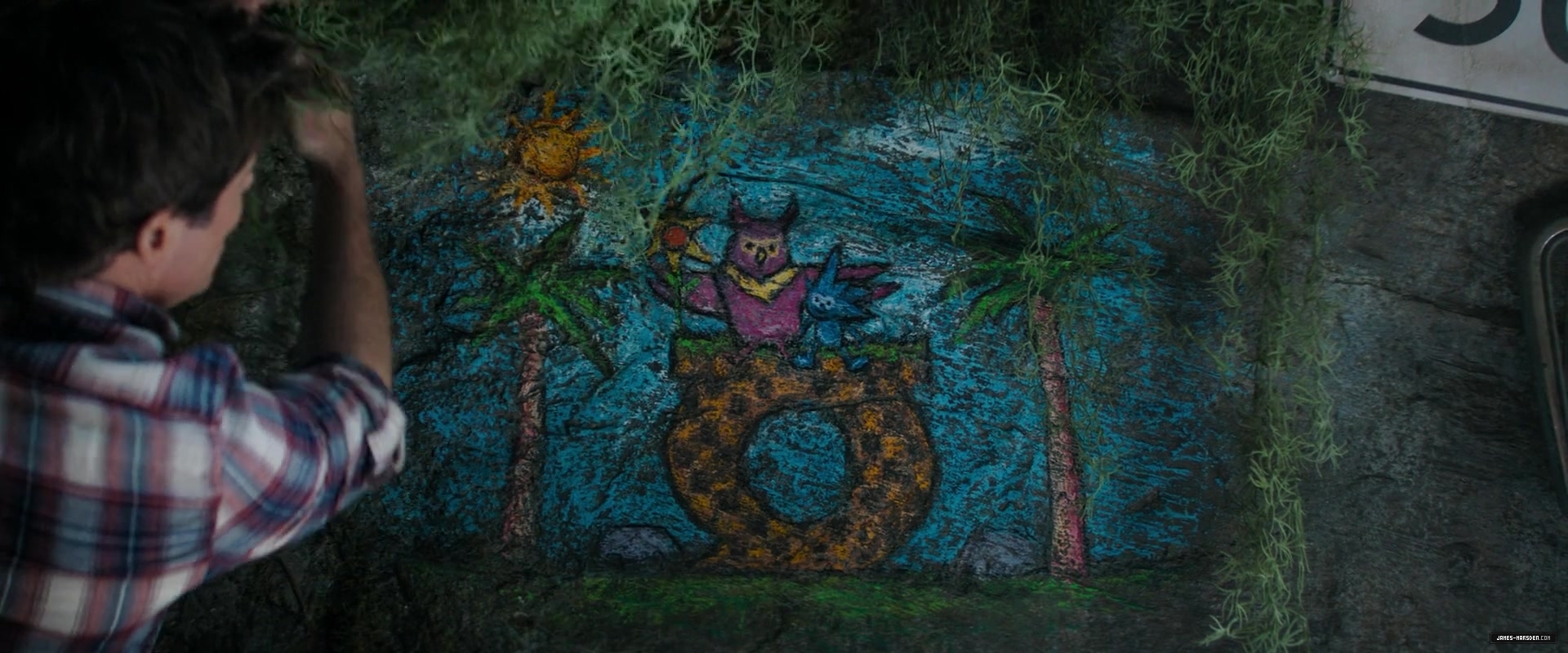 169.jpg
