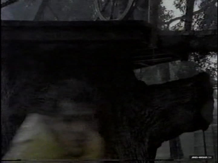 1121.jpg