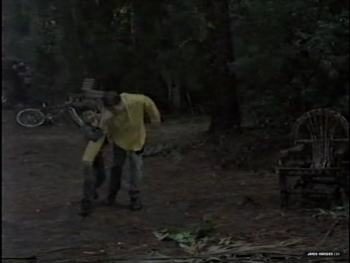1196.jpg