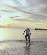 3763.jpg
