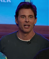 241.jpg