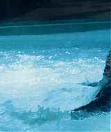 Filename=519.jpg
Filesize=443KiB
Dimensions=1920x800
Date added=Apr 11, 2026 519.jpg